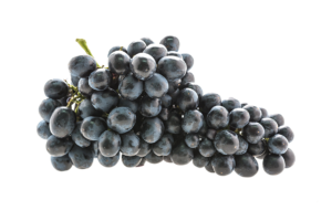 Uva nera San Colombano al Lambro Casa Valdemagna vino enoteca degustazioni